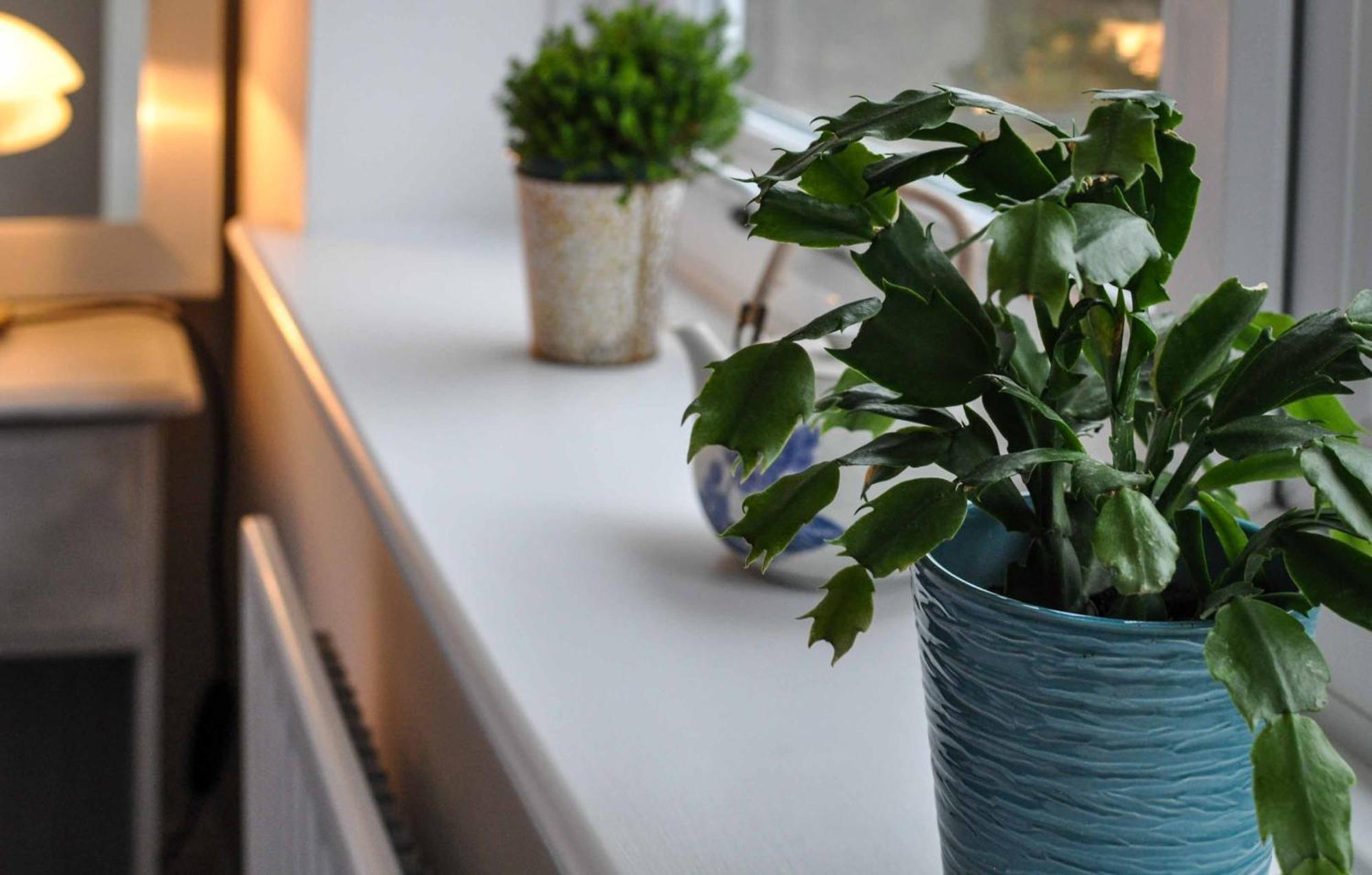 The Sashes - Stylish Apartment - Free Parking - Ultrafast Wifi - Smart Tv - Netflix - Sleeps Up To 6! Close To Poole Town Center & Sandbanks & Bournemouth Экстерьер фото